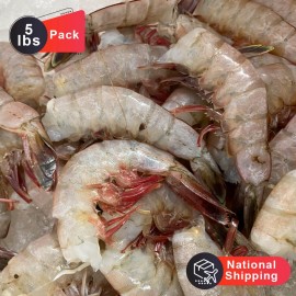 5-lbs Pack of Medium Size Gulf Shrimp Head Off