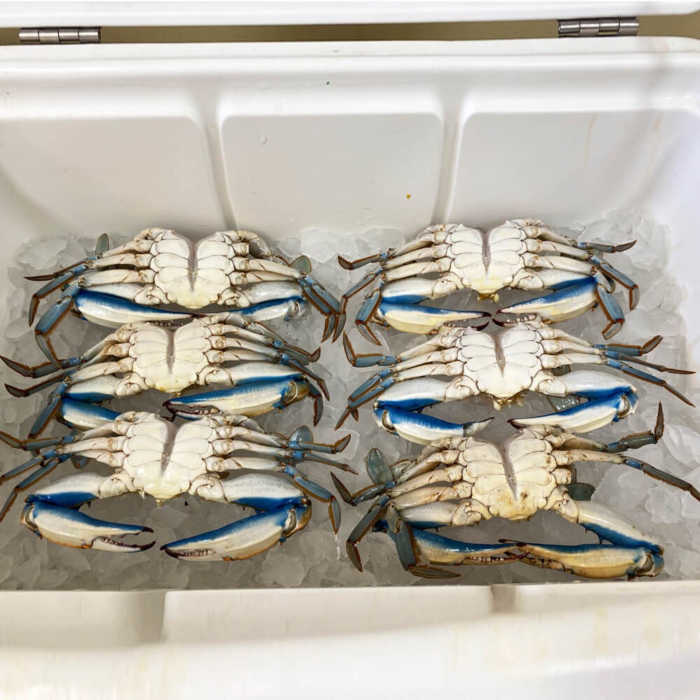 Cleaned Blue Crabs