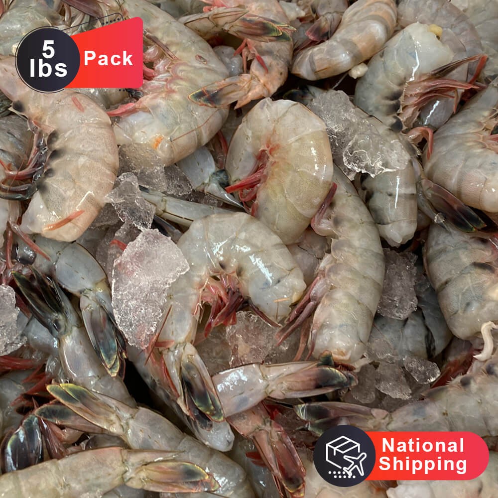 5-lbs Pack of Jumbo Size Gulf Shrimp Head Off