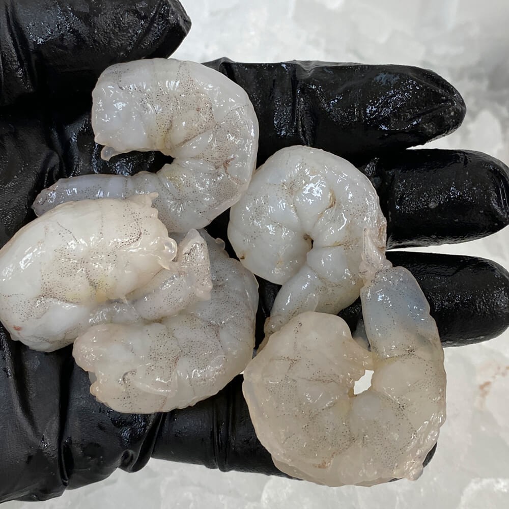 5lbs Pack of Medium Size Gulf Shrimp Peeled And Deveined The Shrimp