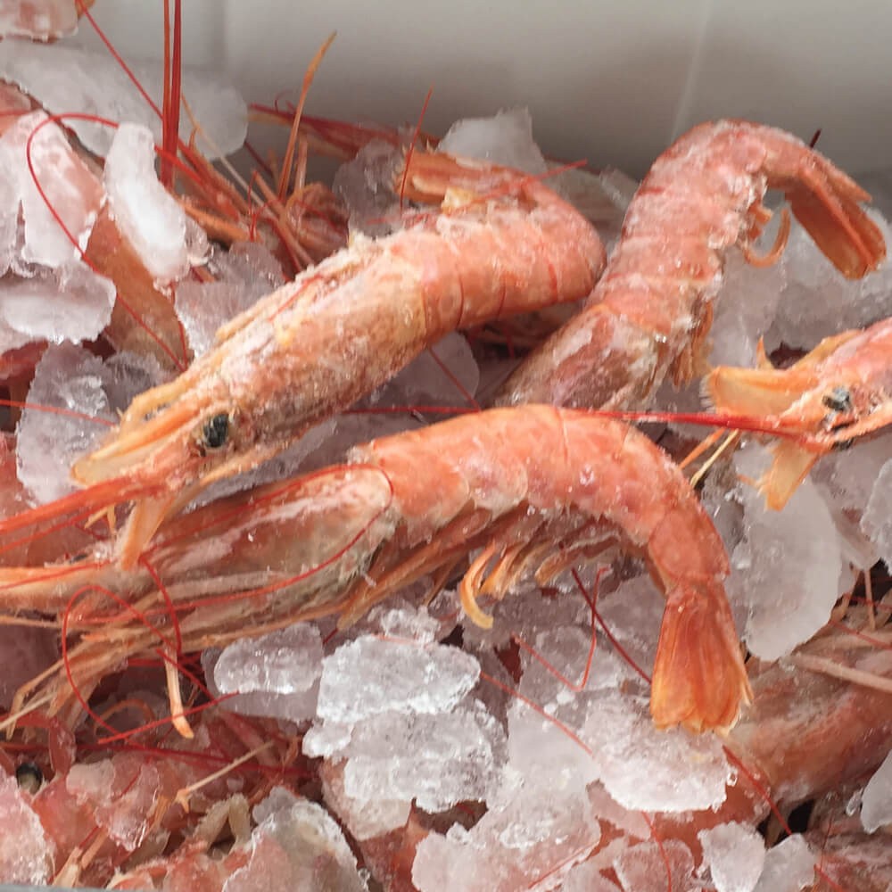4lbs Pack of Royal Red Shrimp Langostinos The Shrimp Net Fish