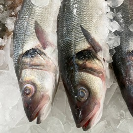 Fresh Branzino Sea Bass Whole or Fillet