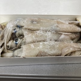 Frozen Whole Squid Angels Gate 3 pounds