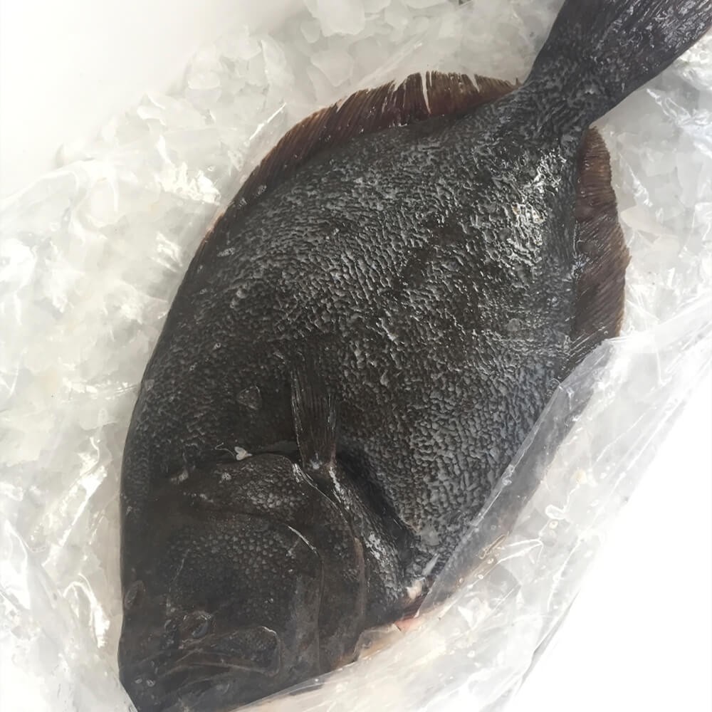 Flounder - Lenguado Pescado Entero y Limpio